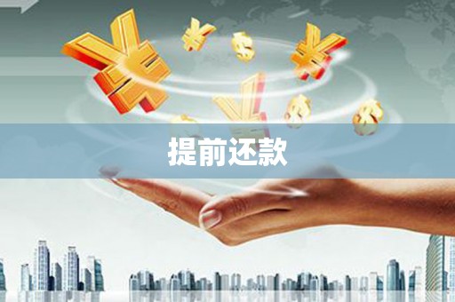 安南提前还款