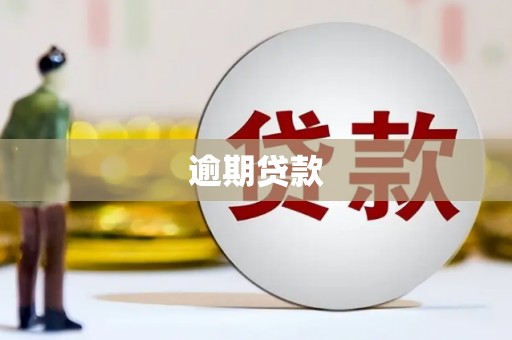 安南逾期贷款
