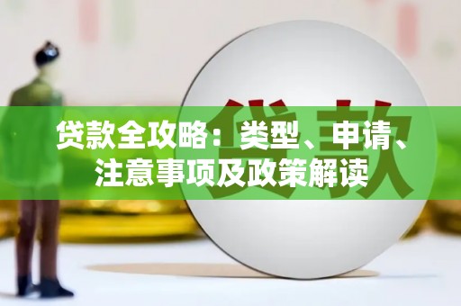 安南贷款全攻略：类型、申请、注意事项及政策解读